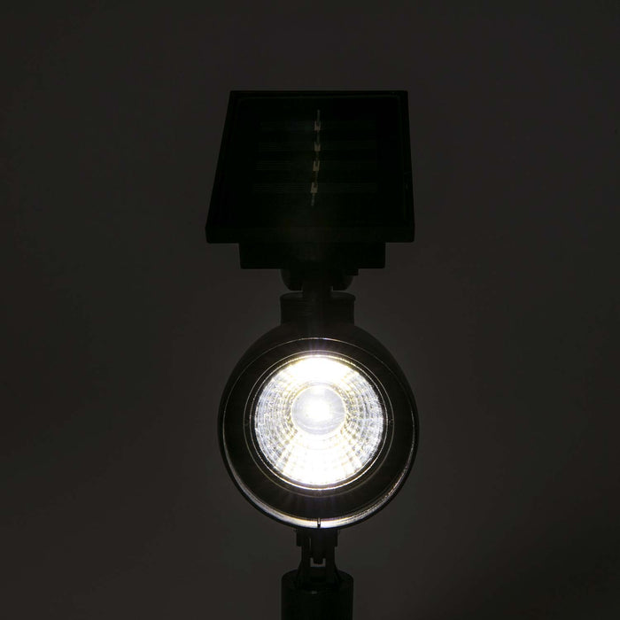 Security Outdoor Solar Pathway Lights